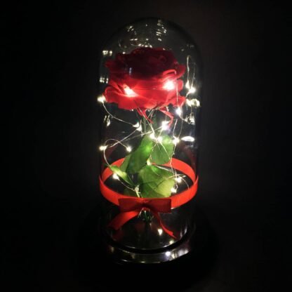 Rosa Encantada Luces Led