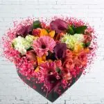 Baúl Flores Bogota · Floristería En Bogotá