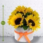 Caja 5 Girasoles Blanca