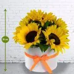 Caja 5 Girasoles Blanca · Ramos Y Arreglos Florales — Bogotá