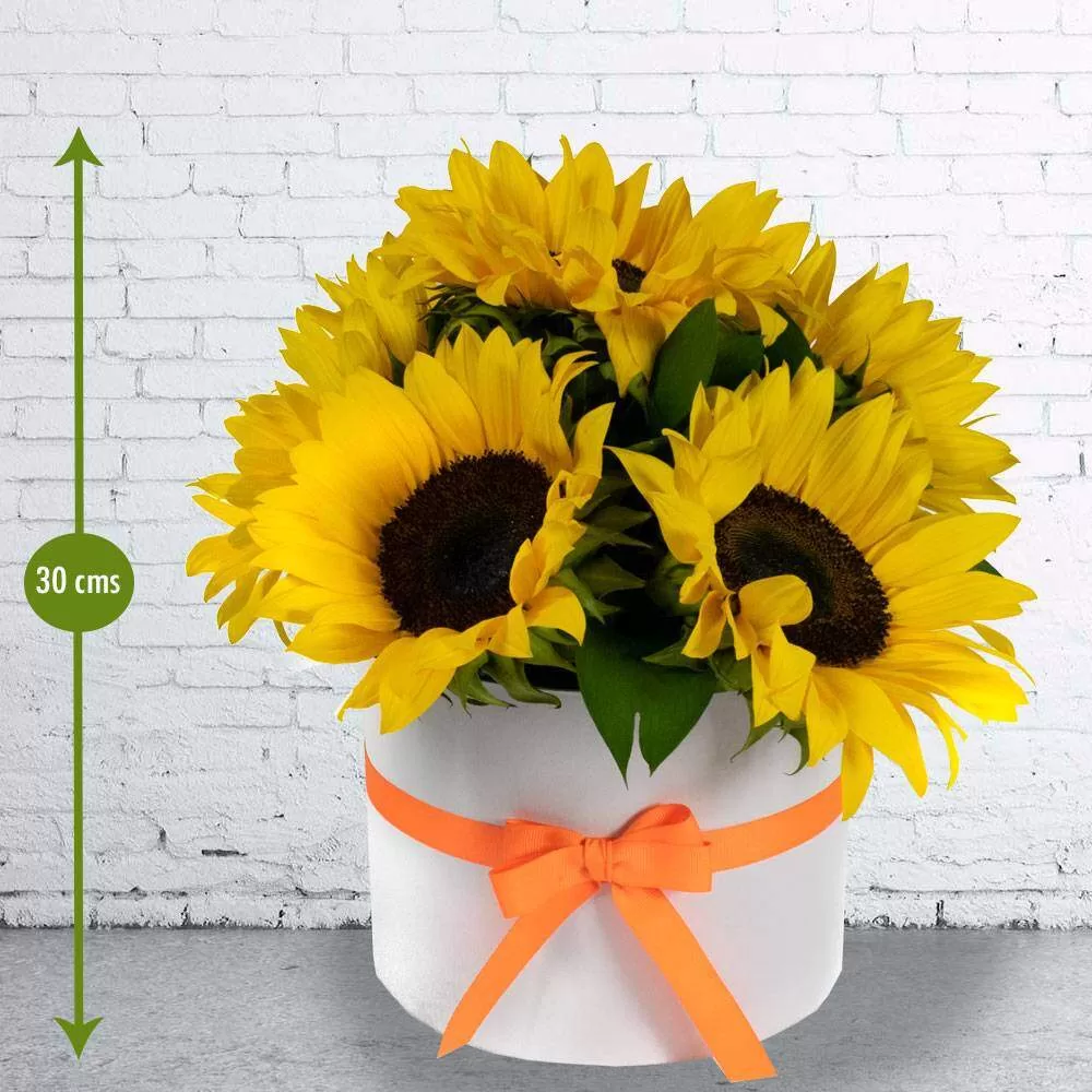 Cajas de Regalo para Mujer: Blanco Girasol