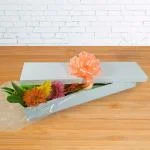 Caja Gerberas X 12 · Ramos Y Arreglos Florales — Bogotá