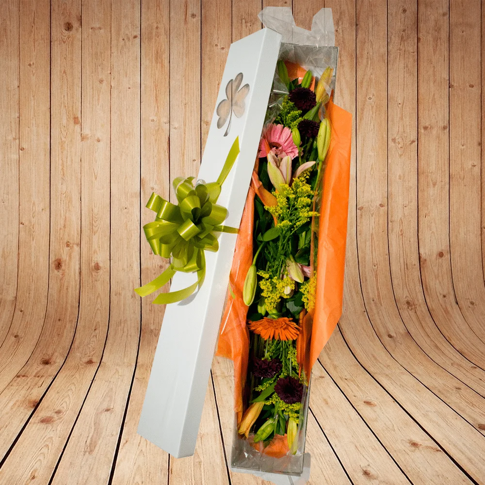 Caja Flores Tropicales