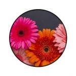 Arreglos en Gerberas