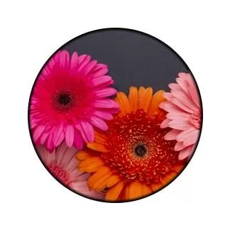 Arreglos en Gerberas