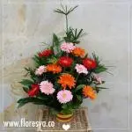 Ramo Gerberas Gerda · Flores Frescas En Bogotá