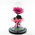Rosa Encantada Rosado Medio · Flores frescas en Bogotá