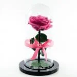 Rosa Encantada Rosado Medio · Flores Frescas En Bogotá