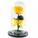 Rosa Encantada Amarilla · Floristería Online Floresya