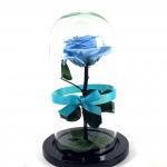 Rosa Eterna Azul Cenicienta Urna · Floristería Online Floresya