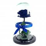 Rosa Eterna Azul Urna · Floristería En Bogotá