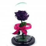Rosa Eterna Morada Urna · Flores Frescas En Bogotá