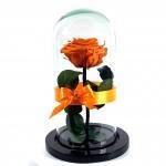 Rosa Eterna Naranja Urna · Floristería Online Floresya