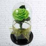 Rosa Eterna Verde Urna · Floristería En Bogotá