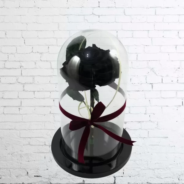 Rosa Negra Premium Urna - Imagen 2