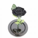 Rosa Negra Premium Urna · Floristería Online Floresya