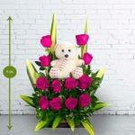 Rosas Conny Fuccia · Flores A Domicilio En Bogotá