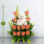 Rosas Conny Salmon · Ramos Y Arreglos Florales — Bogotá