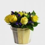 Balde Rosas Y 1 Lirio · Floristería En Bogotá