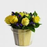 Balde Rosas y 1 Lirio