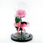 Rosa Encantada Rosado Claro · Entrega De Flores El Mismo Día En Bogotá