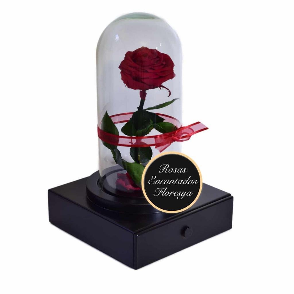 Rosa Encantada Joyero Lujo 1 Rosa Encantada Joyero