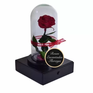 Rosa Encantada Joyero