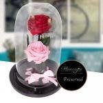 Rosa Eterna Luxury · Arreglo Floral A Domicilio