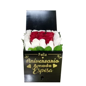 Aniversario
