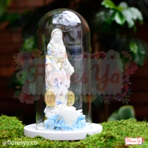 Virgen Medalla Milagrosa Con Rosas Preservadas