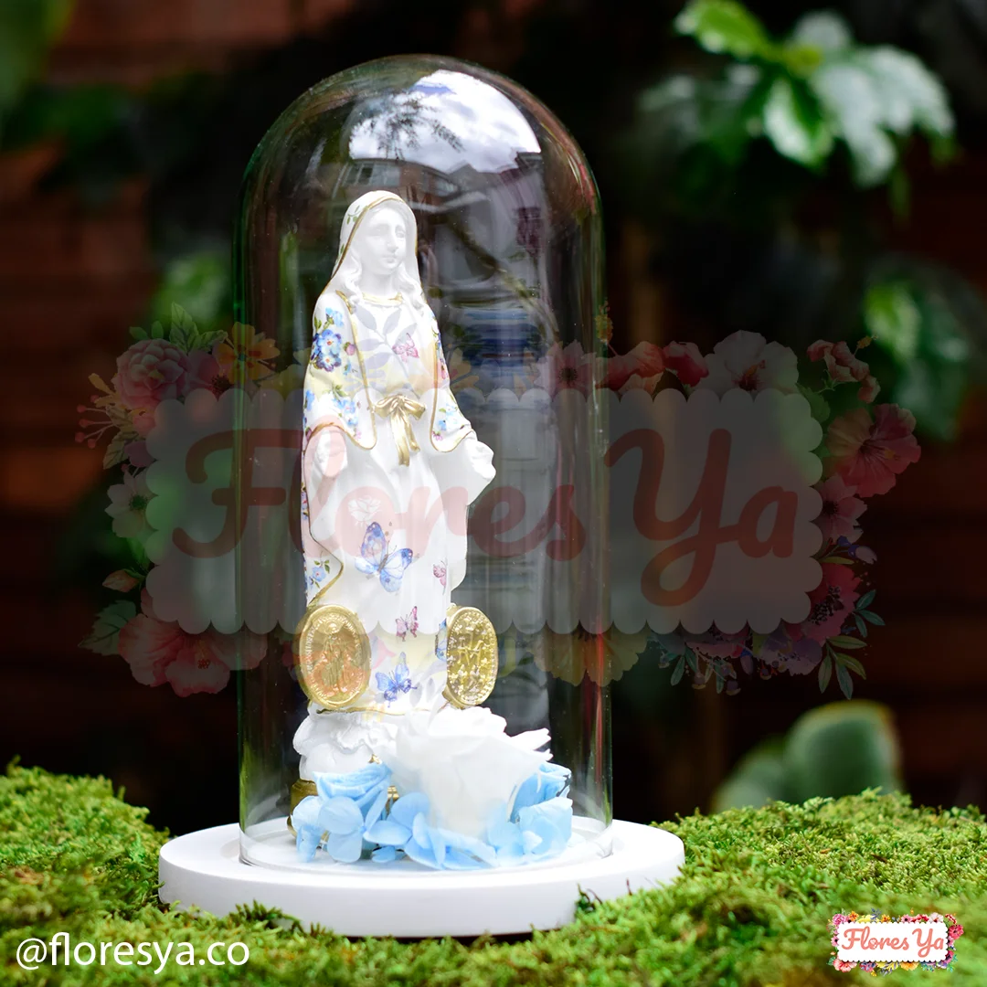 Virgen Medalla Milagrosa Con Rosas Preservadas