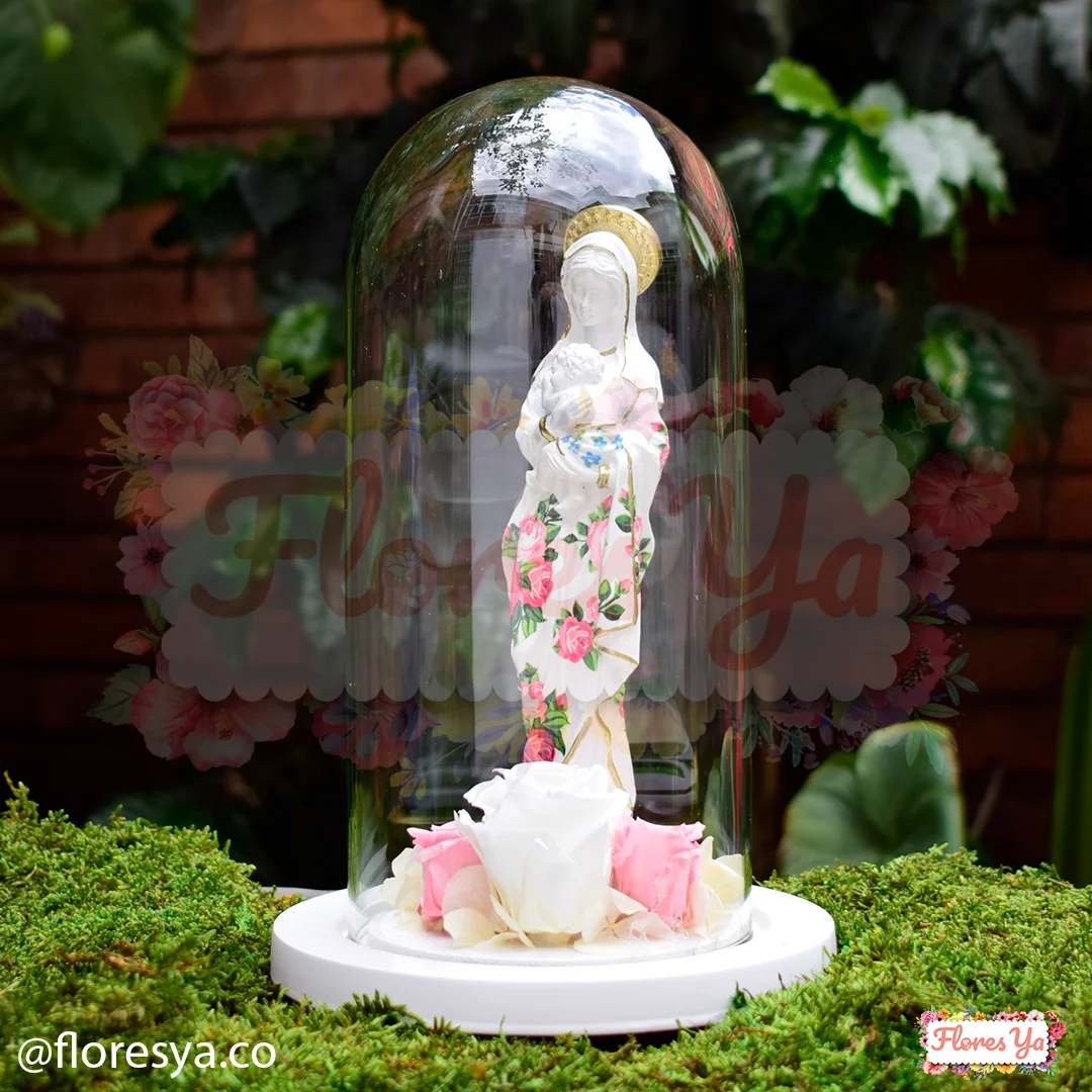 Virgen De La Salud Rosas Preservadas