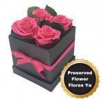 Caja Rosas Encantadas Fucsia · Flores Frescas En Bogotá