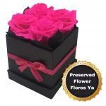 Caja Rosas Encantadas Fucsia Neon · Floristería Online Floresya