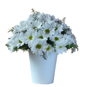 Ramo de Margaritas Blancas