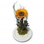 Girasol Eterno Colombia · Flores Frescas En Bogotá