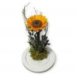 Girasol Eterno Colombia · Flores Frescas En Bogotá