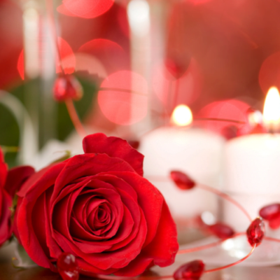 Rosas Preservadas Liofilizadas