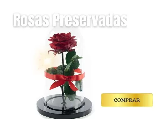 Rosas Preservadas