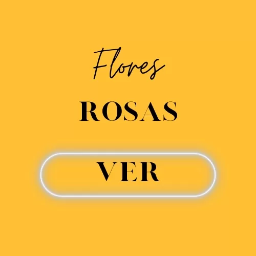 Ramos de Rosas
