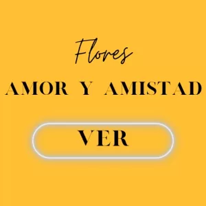 Detalles Y Flores Amor Y Amistad