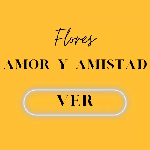 Detalles y Flores Amor y Amistad